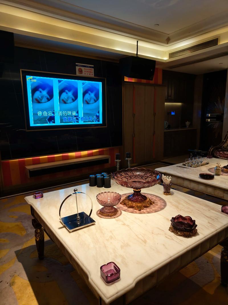 潍坊商务KTV的定义-奎文区ktv预订